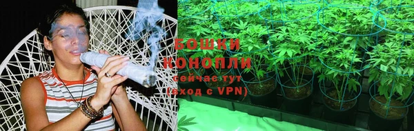 спиды Лагань