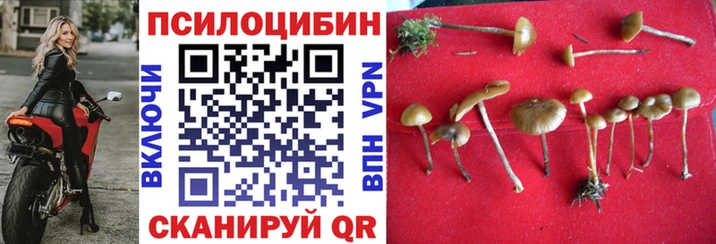 даркнет как зайти  МЕГА как зайти  Галлюциногенные грибы мухоморы  Лебедянь  закладки 